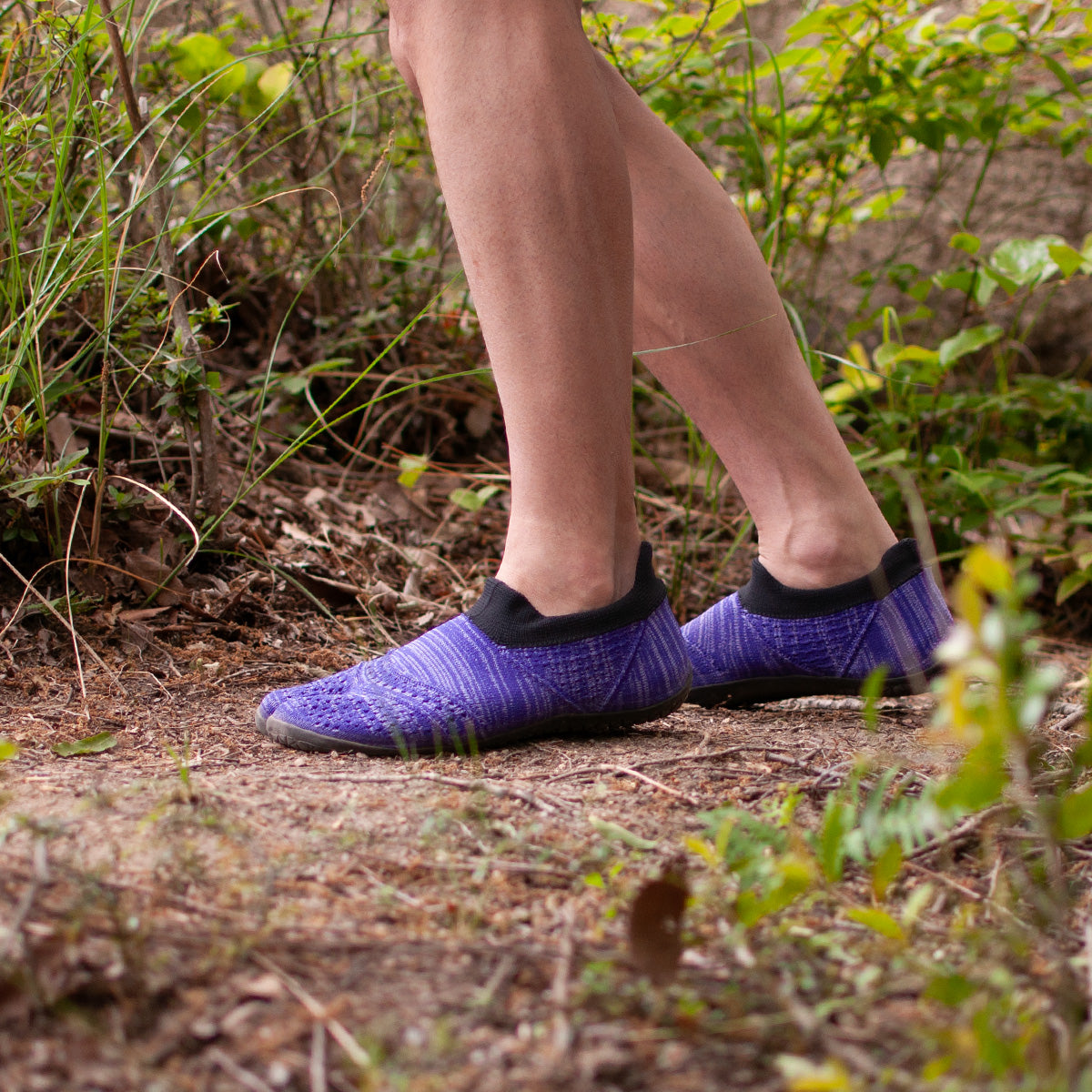 hitoe Zebra Purple