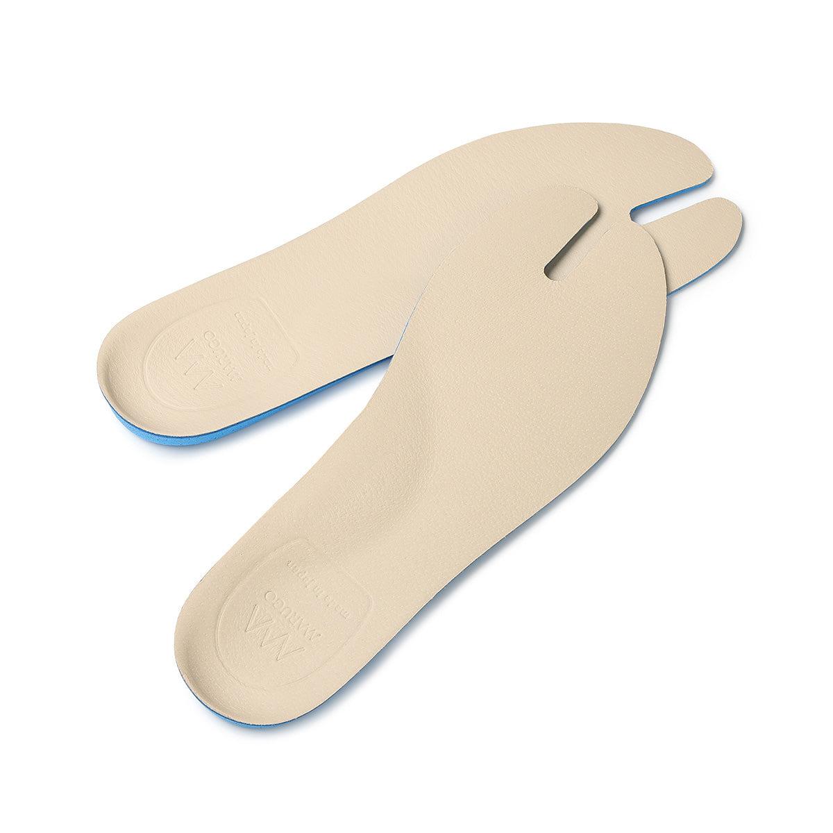 <予約商品>ITARO Lo