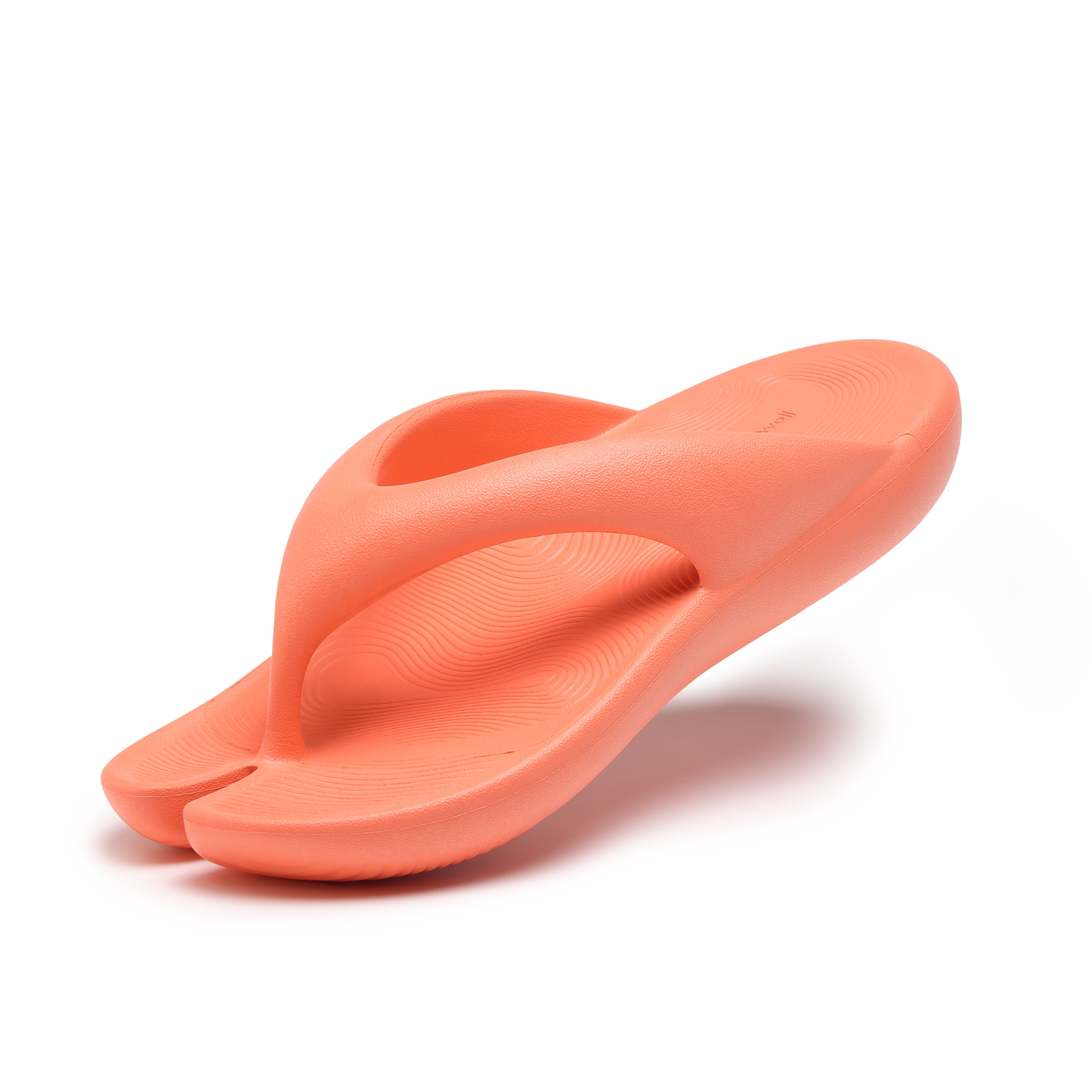 auwell_coral_A_3000x.jpg?v=