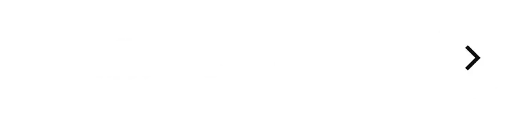 2つのカラー展開